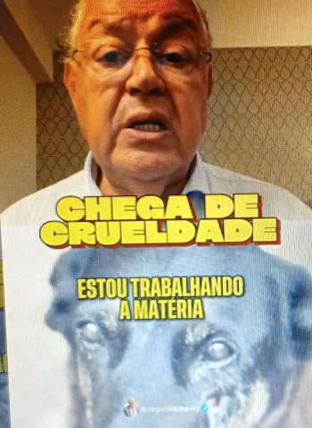 O que a agressão ao cão Orelha revela sobre nossa sociedade