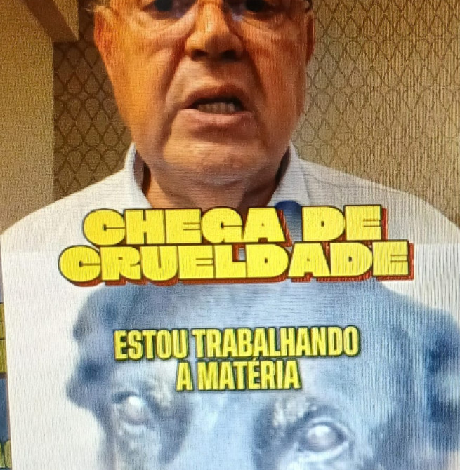 O que a agressão ao cão Orelha revela sobre nossa sociedade